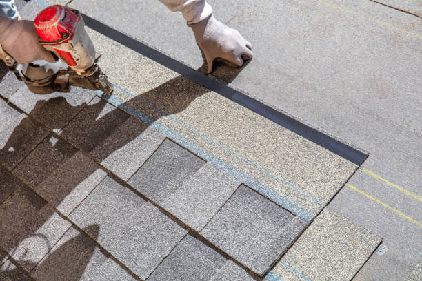 Best Storm Damage Roof Repair  in Beach Park, IL