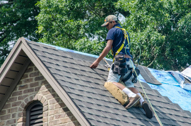 Professional Roofing Contractor in Beach Park, IL
